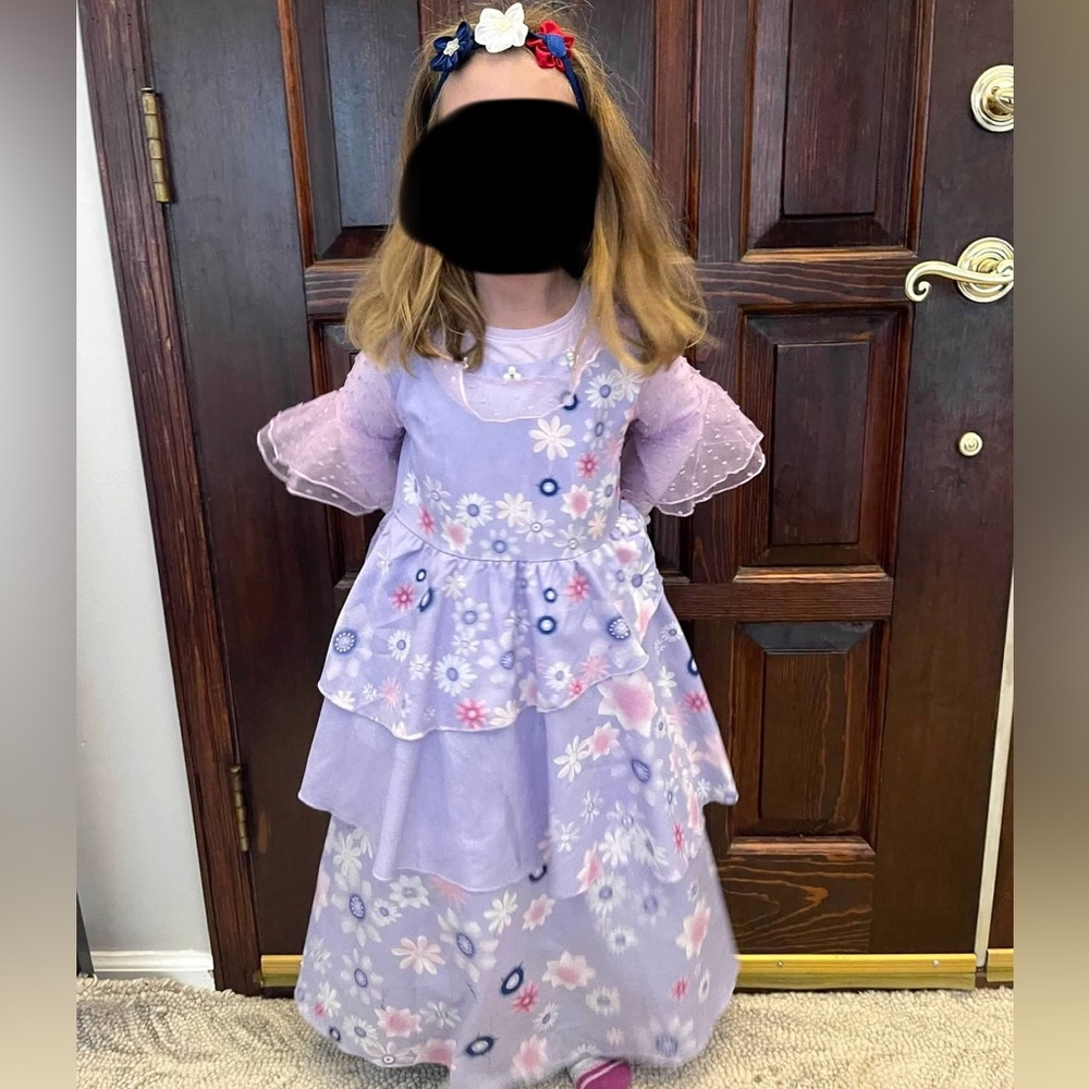 Encanto Isabella Costume, Floral Lavender Dress with Sheer Sleeves